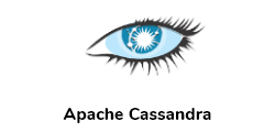 NoSQL database management system designed to handle large amounts of data across many commodity servers, providing high availability with no single point of failure